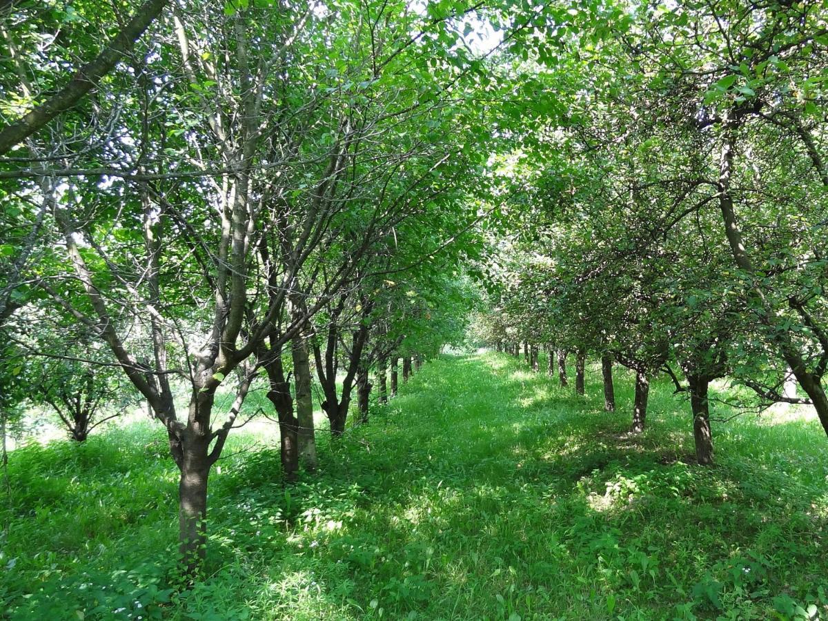 Parkowy * Naleczow