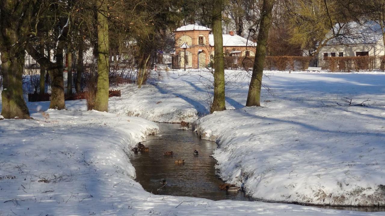 Parkowy * Naleczow